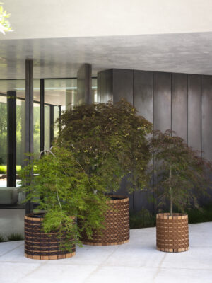 Barrique 001 Planter