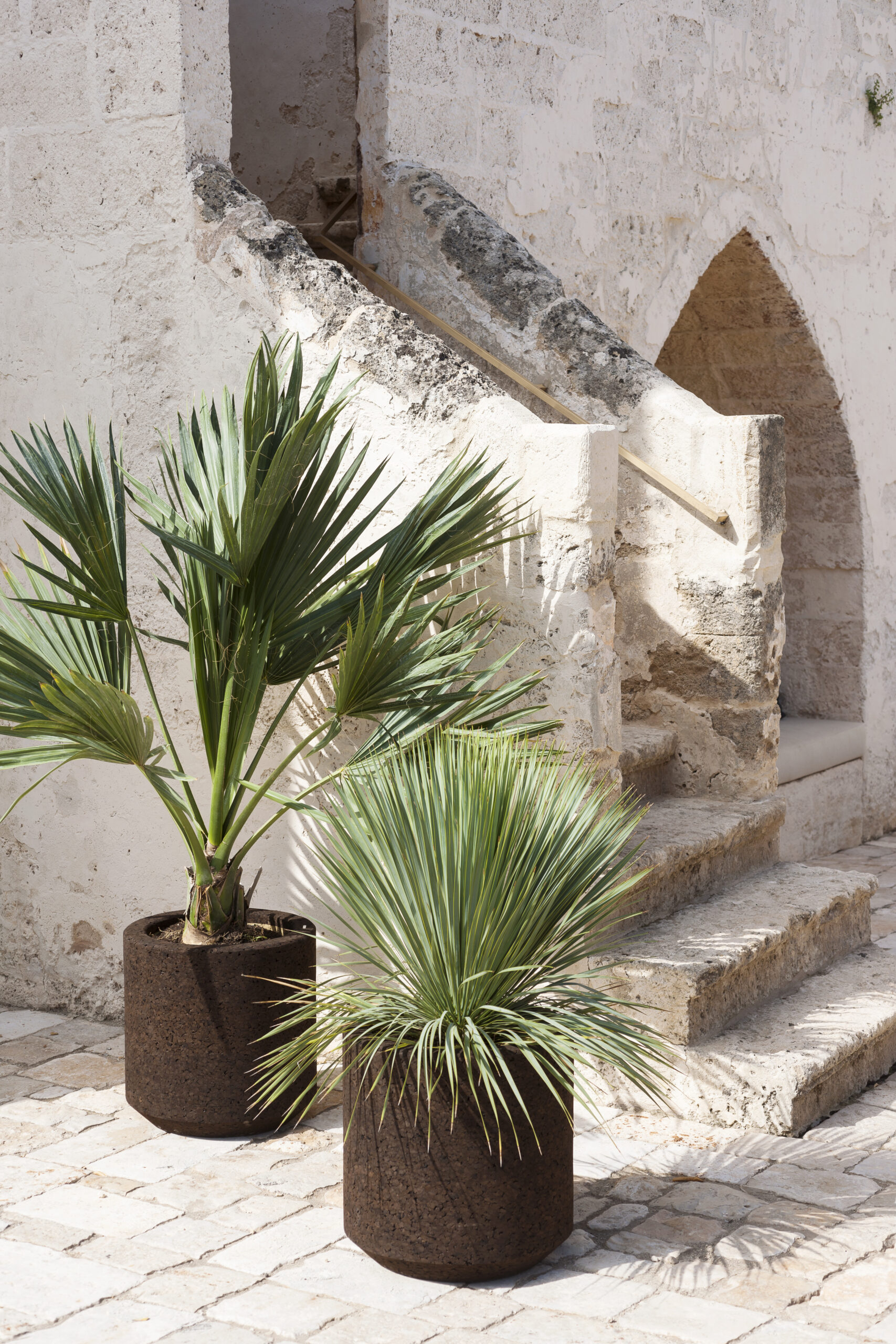Cortica 002 Planter